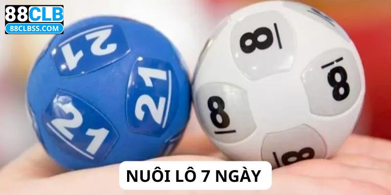 Giới thiệu chung về cách nuôi lô 7 ngày