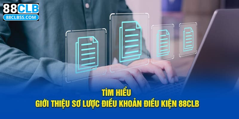 Vì sao quy định điều khoản điều kiện lại quan trọng?